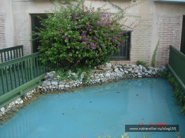 photo 867663