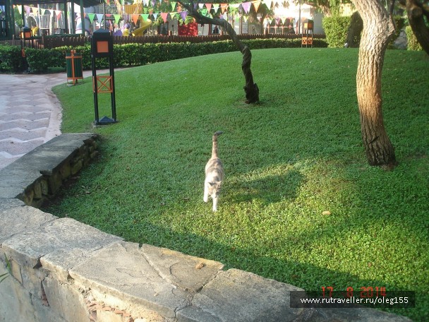 photo 867664