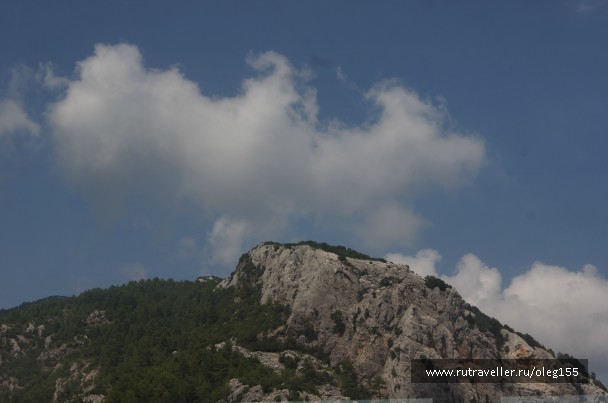 photo 867213