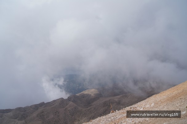 photo 867223