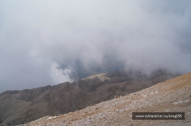 photo 867225