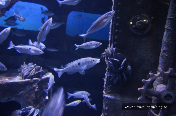 photo 878861