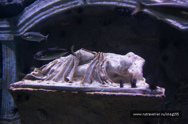 photo 878863