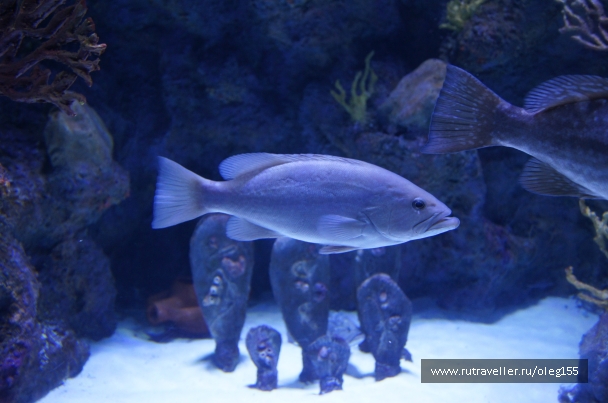 photo 878869