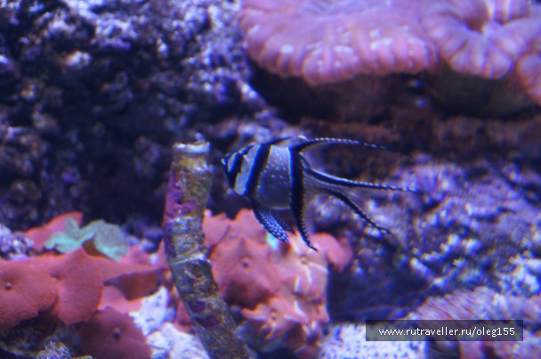 photo 878878