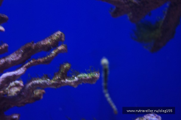 photo 878891