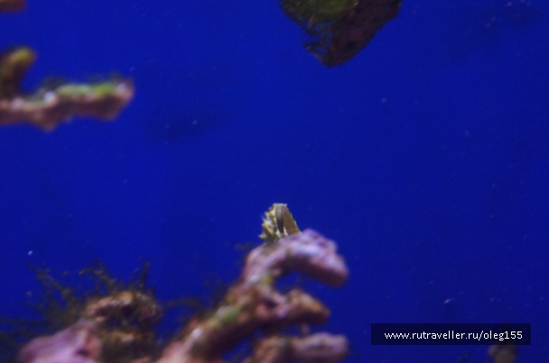 photo 878893