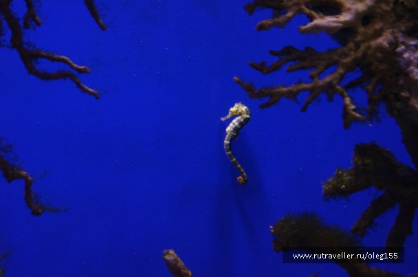 photo 878896