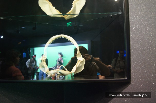 photo 878898