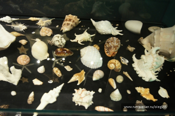 photo 878902