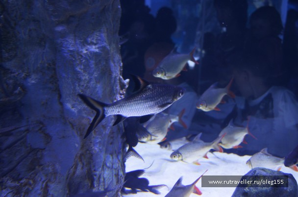 photo 878911