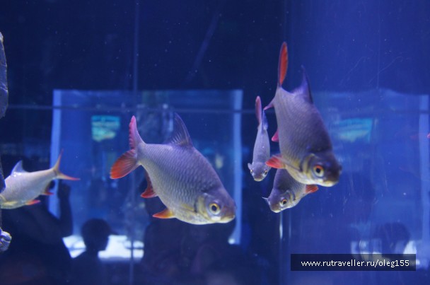 photo 878912