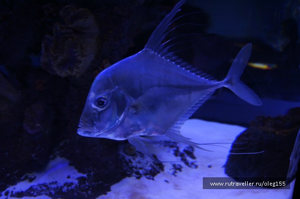 photo 878915