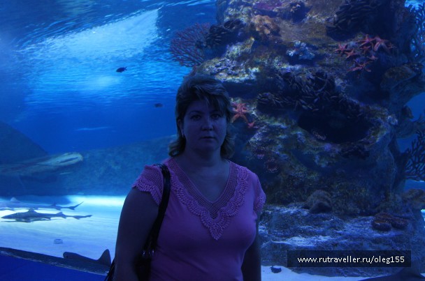 photo 878917