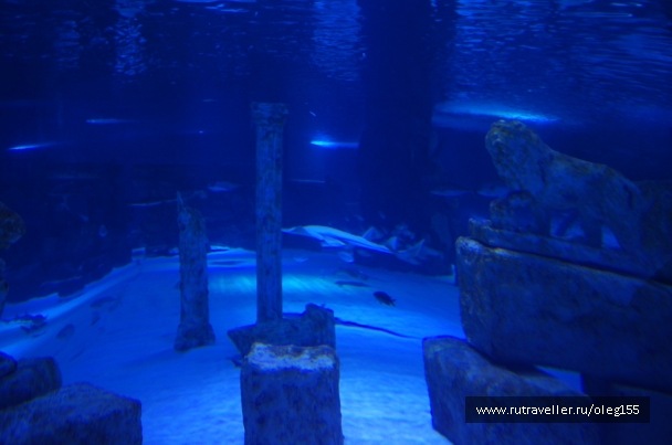 photo 878925