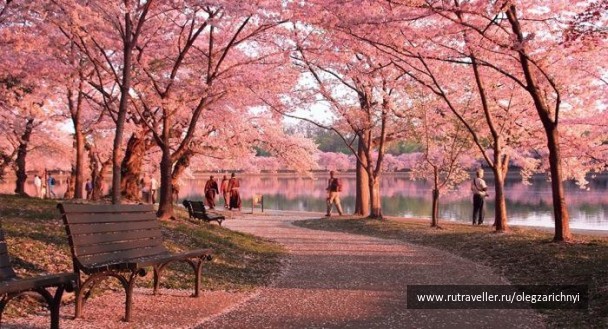 photo 1467334