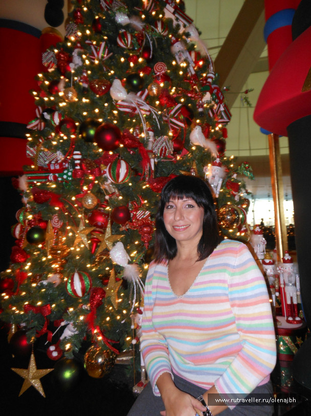 photo 239835