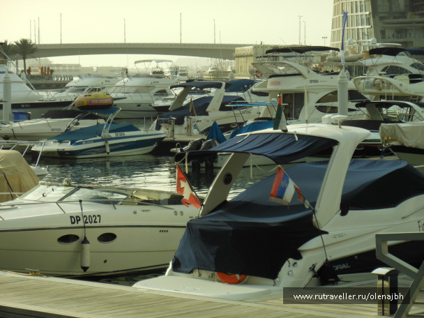 photo 124660