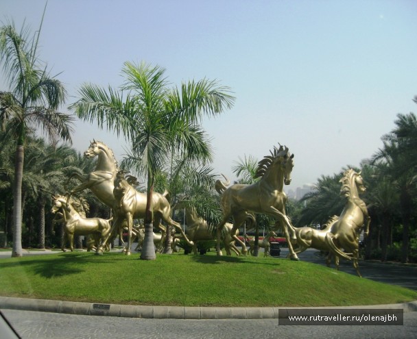 photo 37272