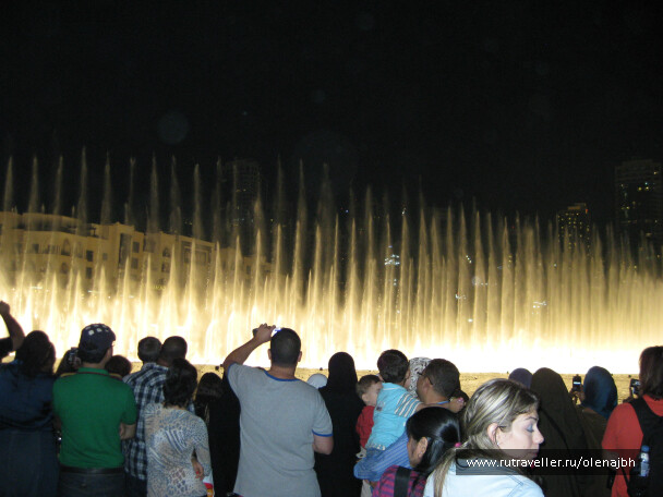 photo 41839