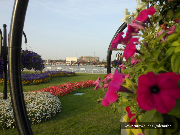 photo 468604