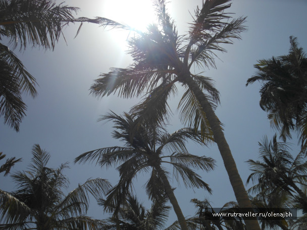 photo 468611