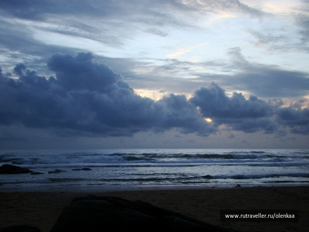 photo 43479