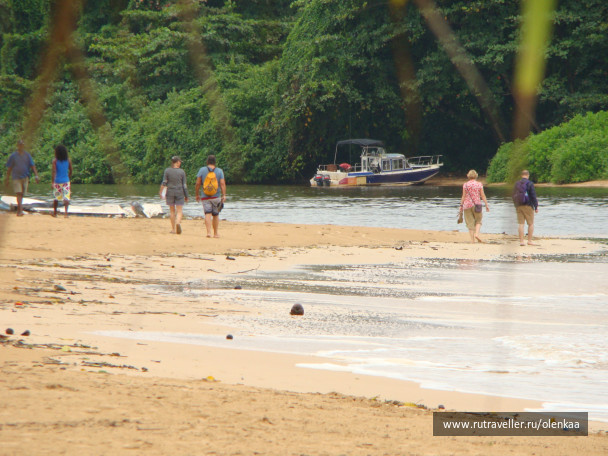 photo 43482