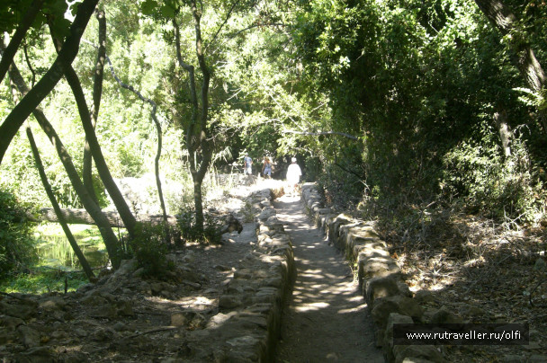 photo 527229