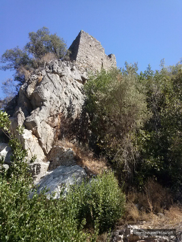 photo 527243