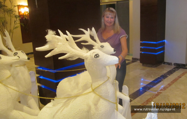 photo 220392