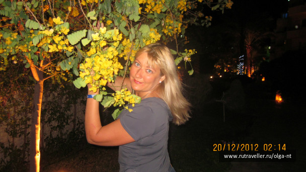 photo 220405