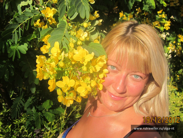 photo 220408