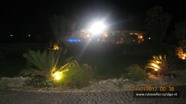 photo 220297