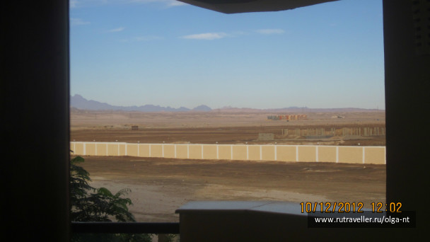 photo 220309