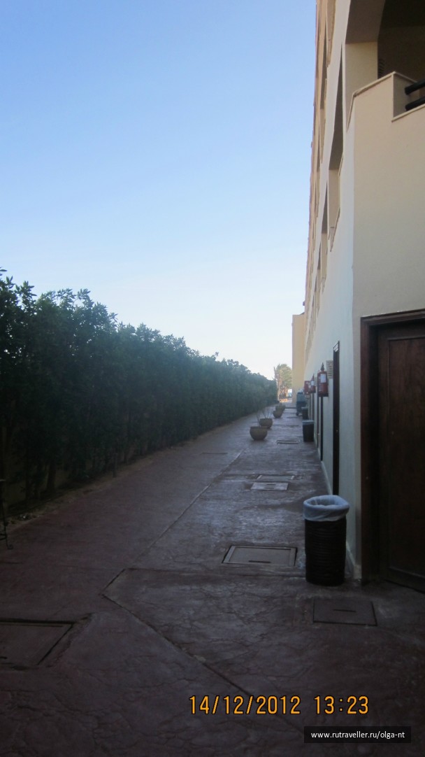photo 220288