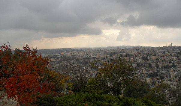 SAM_4364