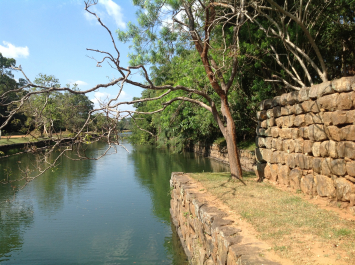 photo 684281