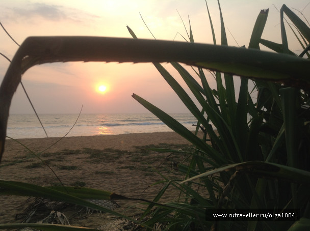 photo 687441