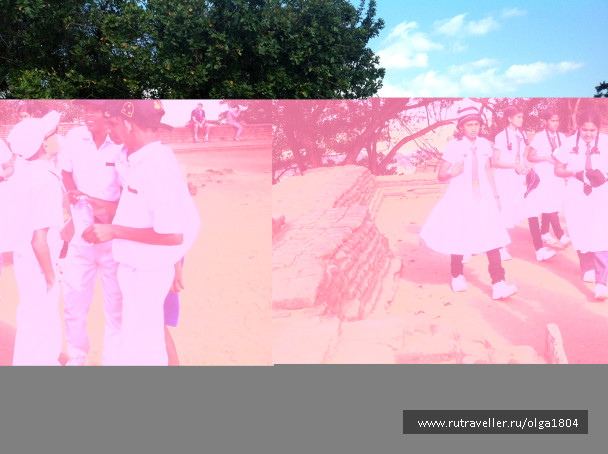 photo 687442