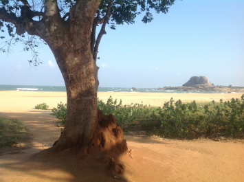 photo 687973