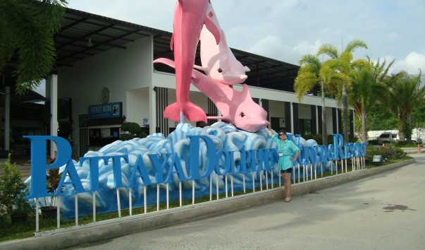 DSC03046