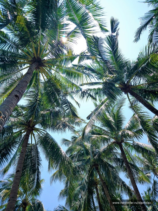 photo 1473621