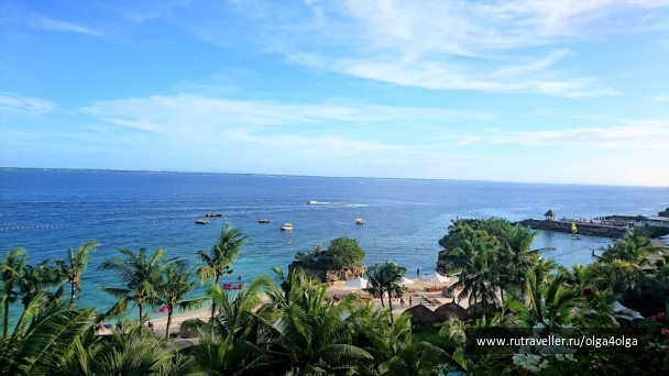 photo 1473624