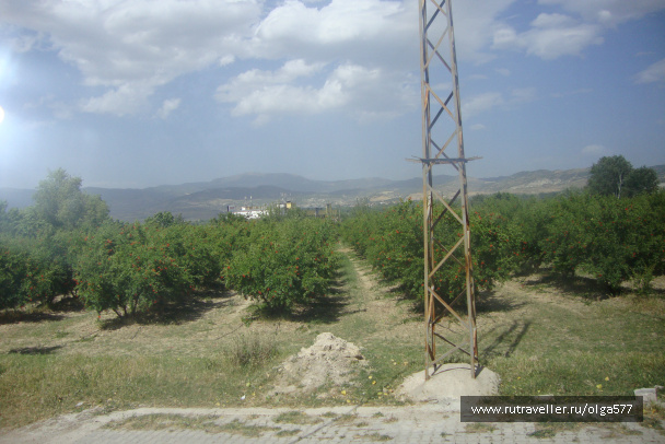 photo 393723