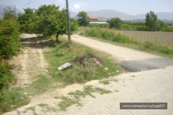 photo 393725