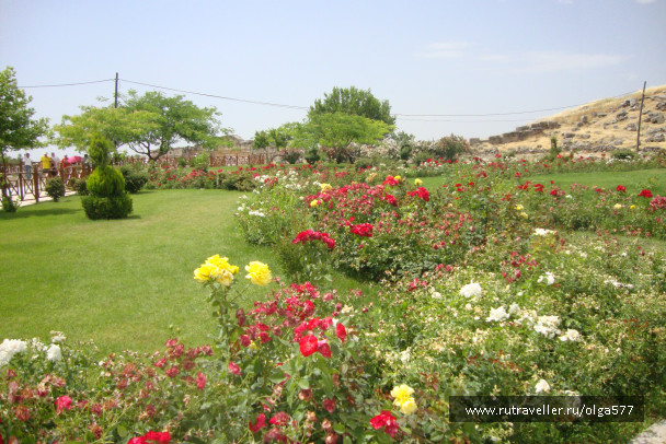 photo 393728