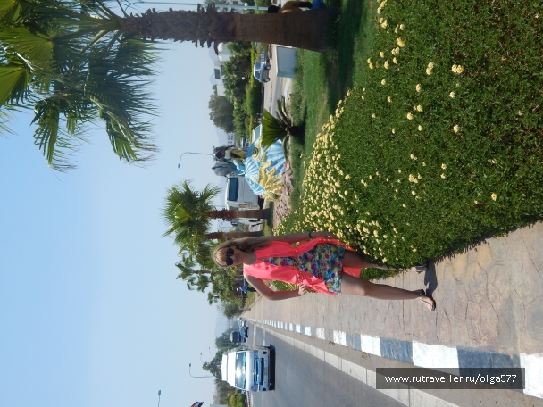 photo 826424