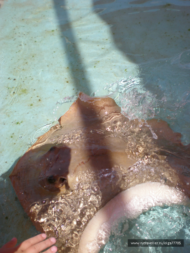 photo 107014