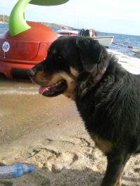 photo 1034195